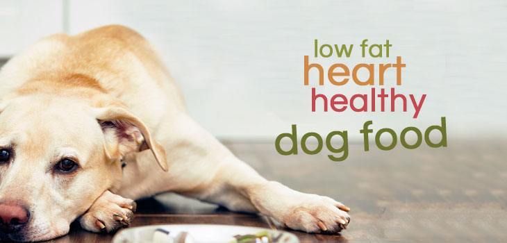 Best Dog Heart Health Supplements